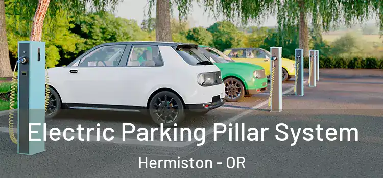  Electric Parking Pillar System Hermiston - OR